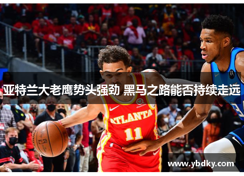 亚特兰大老鹰势头强劲 黑马之路能否持续走远